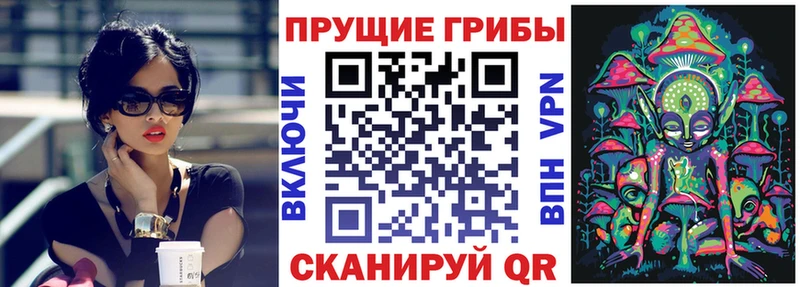 Галлюциногенные грибы Magic Shrooms  Купить где  Питкяранта 